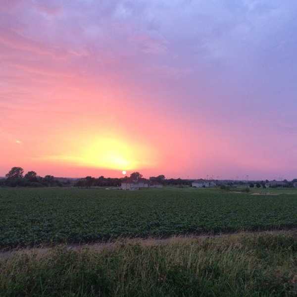 What I Learned After A Year Of Living In The Midwest