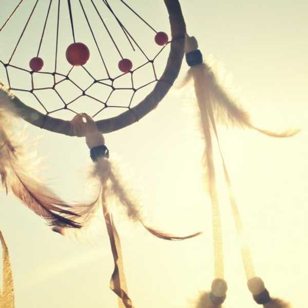 Native Americans: The Harsh Reality