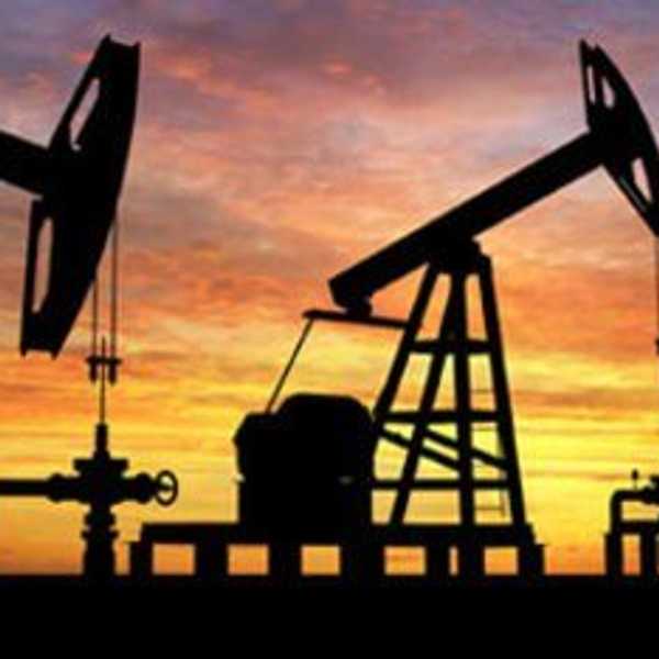 Environmental Suicide