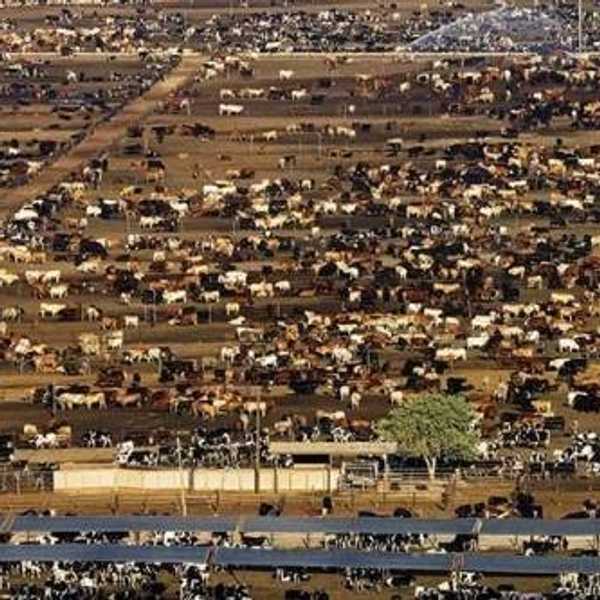 People Do Not Know Where Their Food Comes From