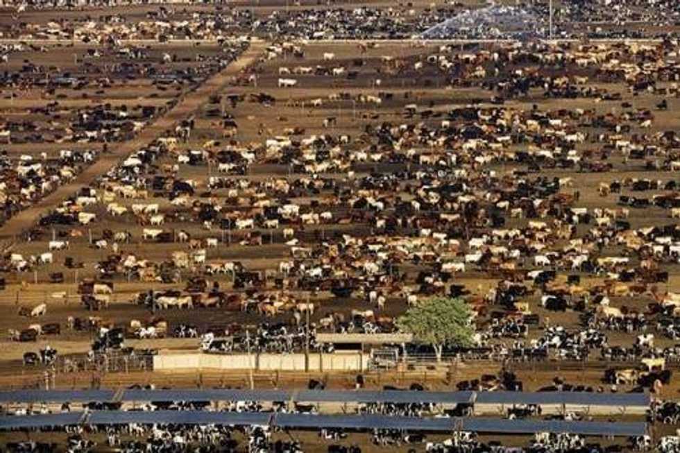 People Do Not Know Where Their Food Comes From