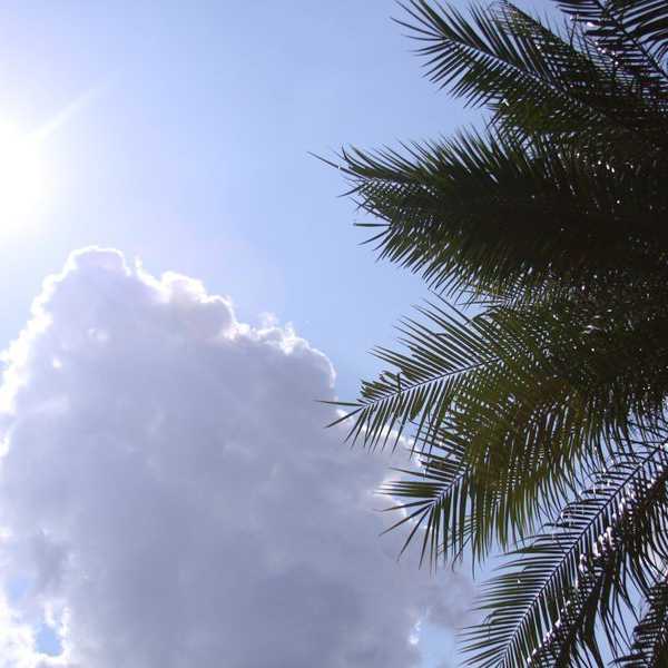 To The Few Who Can't Enjoy Summer: You're Not Alone