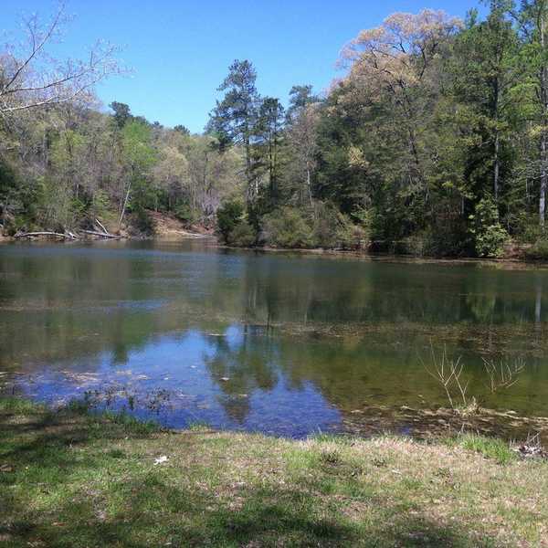 10 Things That Are Polluting Freshwater Lakes And Rivers