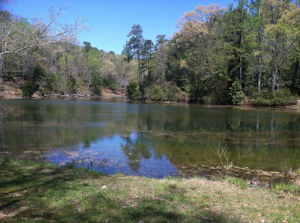 10 Things That Are Polluting Freshwater Lakes And Rivers