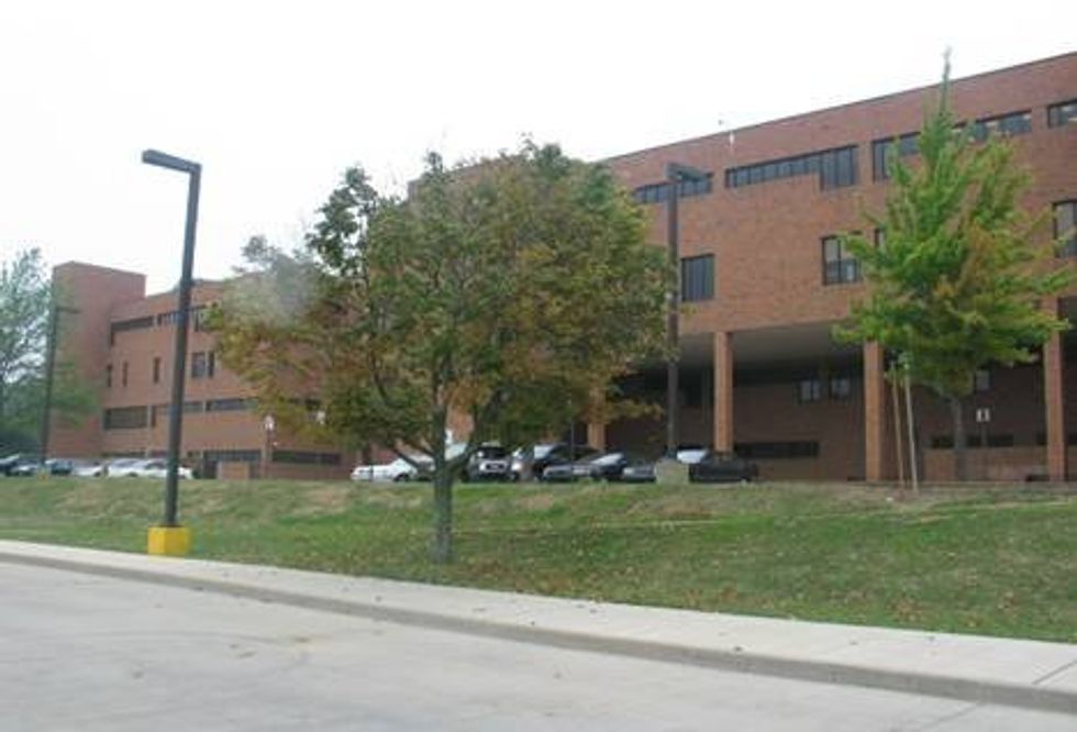 The Diversity Of A Bull