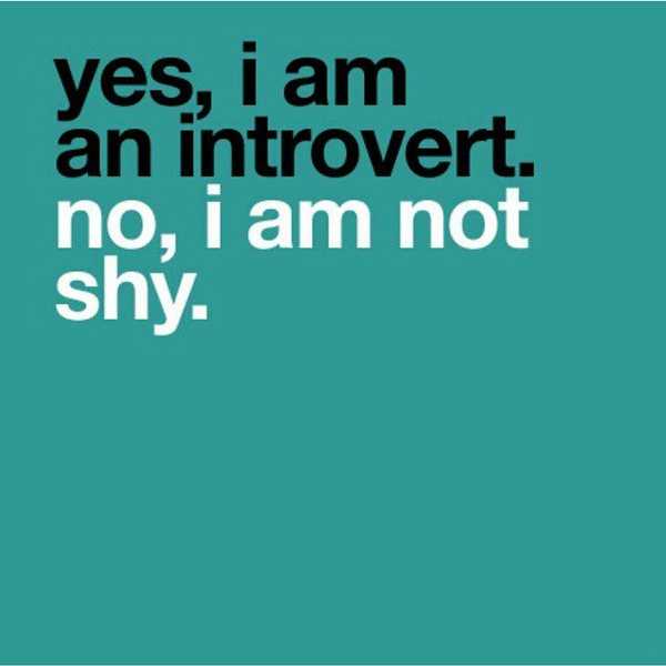 The Introvert's Quiet Struggle