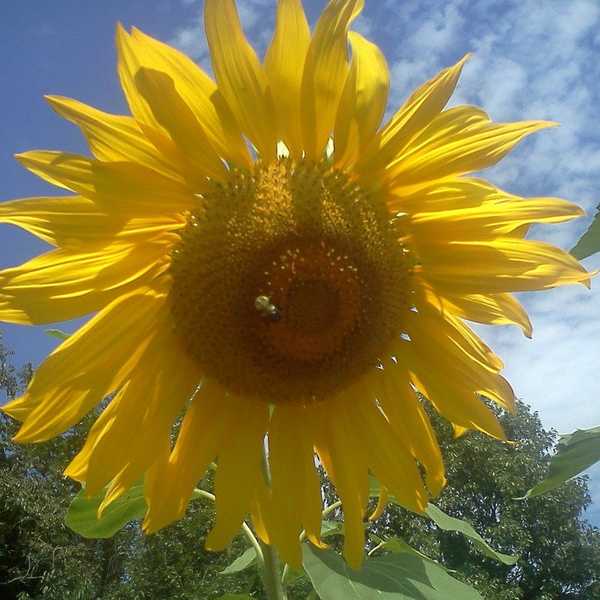 The Unofficial Guide To Moving Out: Home To College