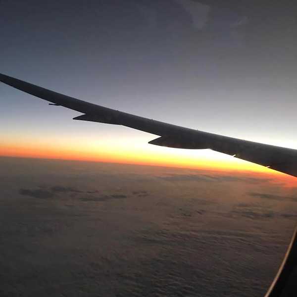 Destination Therapy