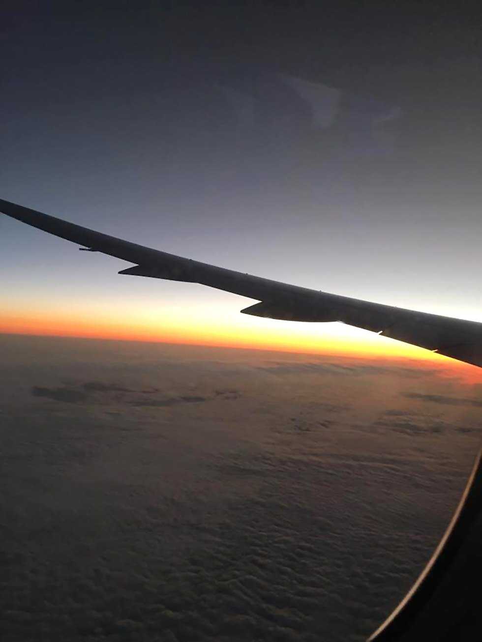 Destination Therapy