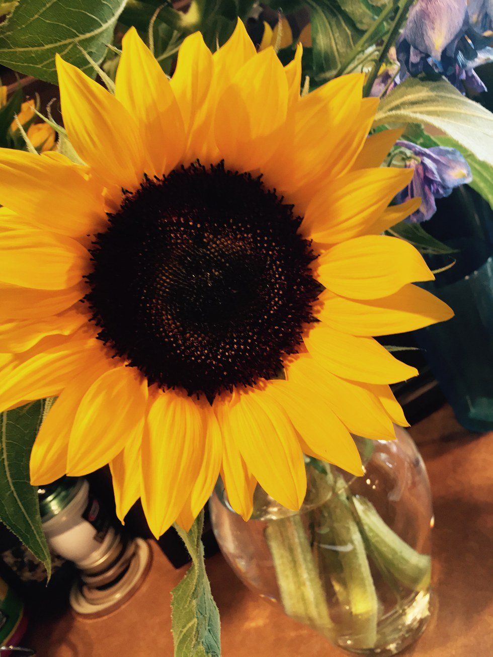 50 Things To Be Happy About