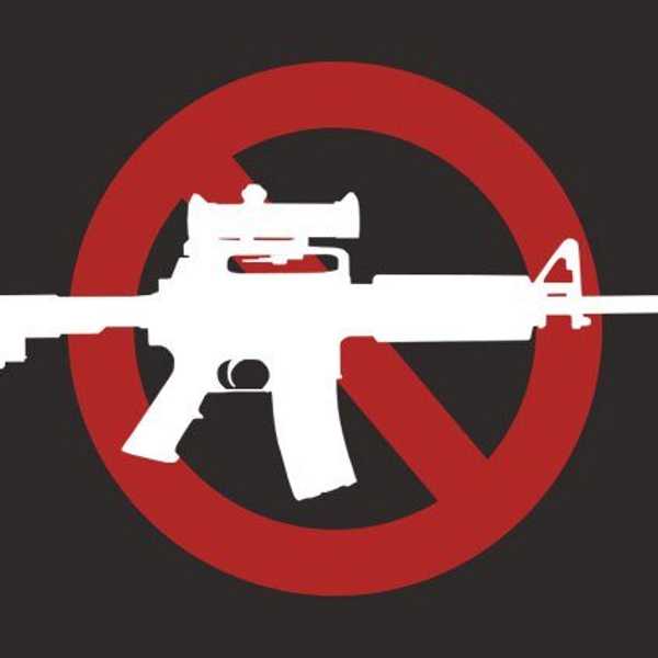 Should We Ban Assault Weapons?