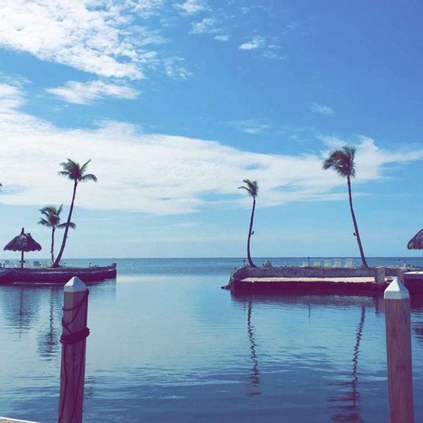 Here's To A Healthy Summer