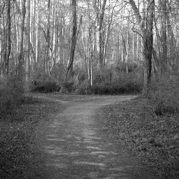 The Fork In The Road: The Hardest Direction To Go When You Know You Were Wrong