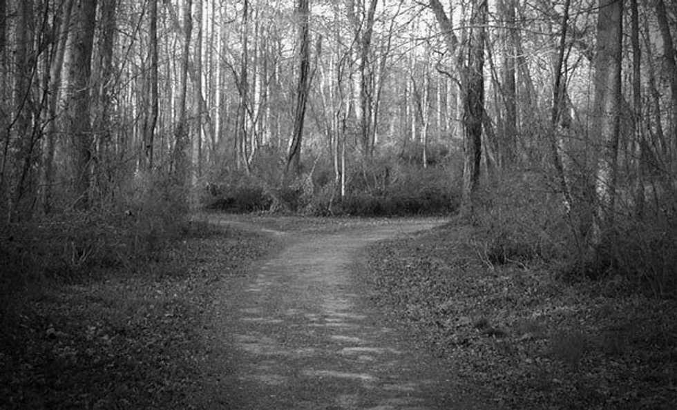 The Fork In The Road: The Hardest Direction To Go When You Know You Were Wrong