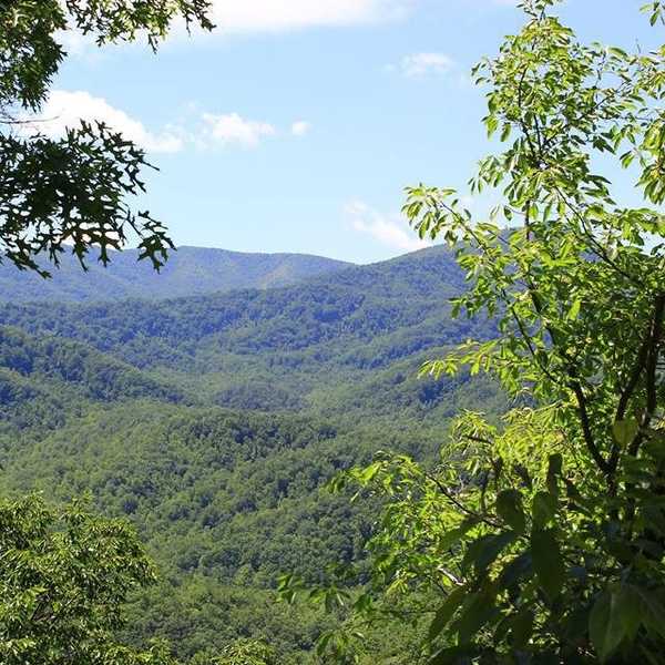 Go Take A Hike
