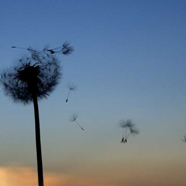 55 Things I've Been Contemplating Collecting