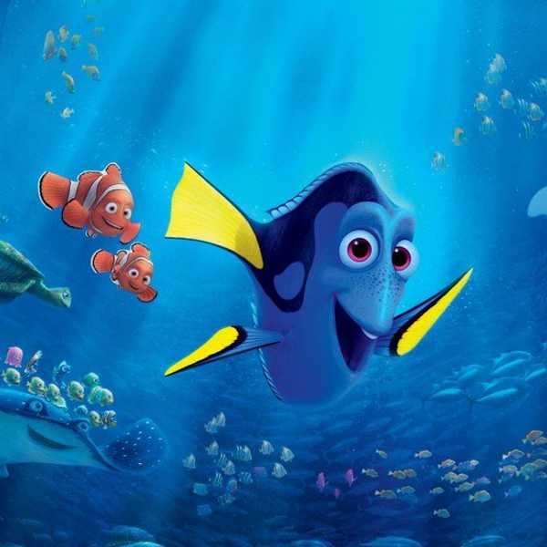 The Wait Of A Lifetime: 'Finding Dory' Is Here