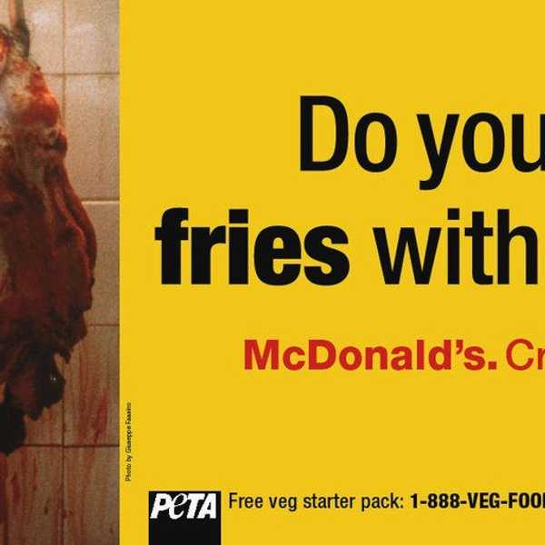 Breaking In: Why You Should Join The Vegan Cult