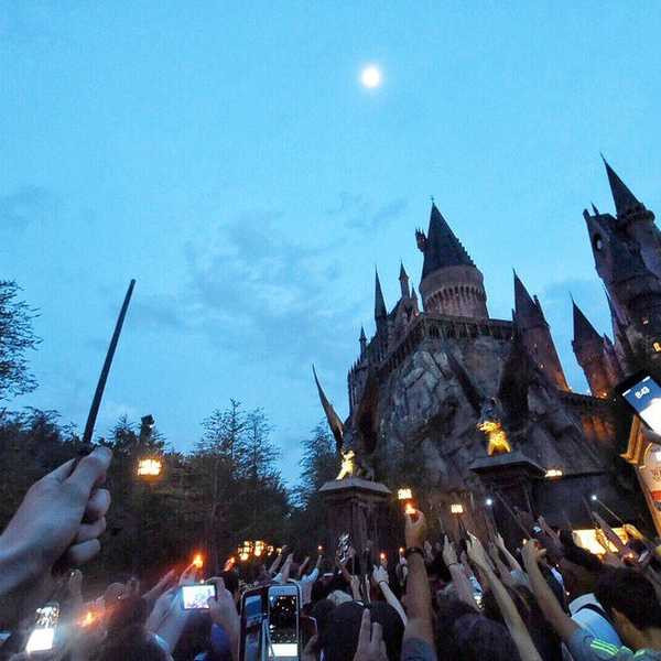 Wizarding World of Harry Potter Friends Raise Wands In Tribute To Orlando Mass Shooting Victim