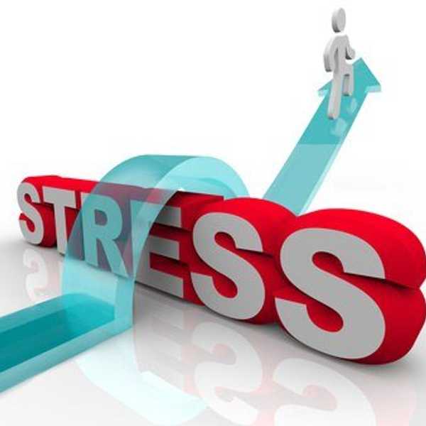 How Students Can Reduce Stress