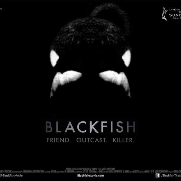 Why It's Time For SeaWorld To Call It Quits