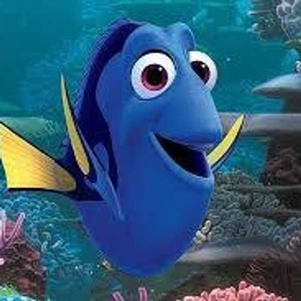 Summer Classes Survival Guide 101: As Told by Dory