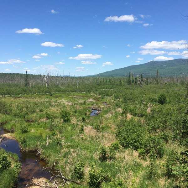 An Ode To Nature: Why This Millennials Still Love The Outdoors
