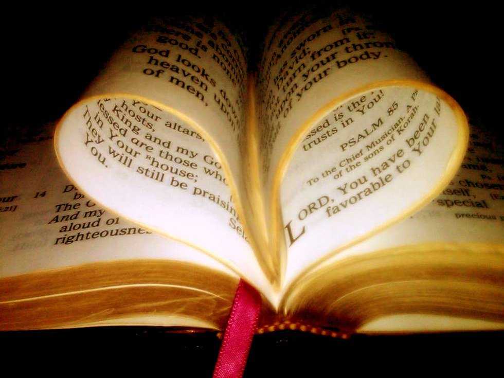 An Open Letter To The Christians Condemning The LGBT Community