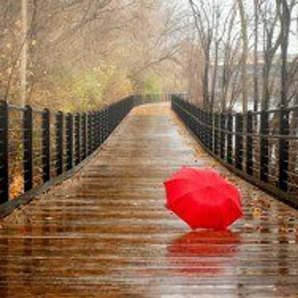Rain, Rain Please Stay Today
