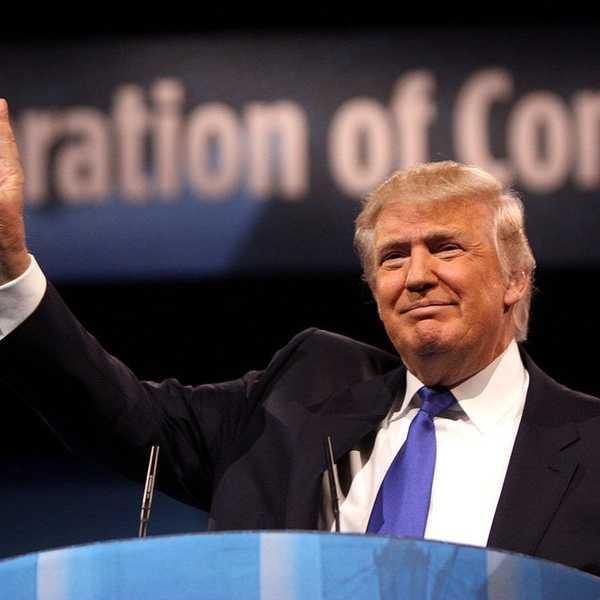5 Reasons You Should Definitely Vote For Donald Trump