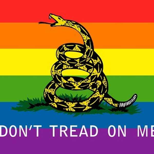 I Am A Gay Conservative Voting For Trump