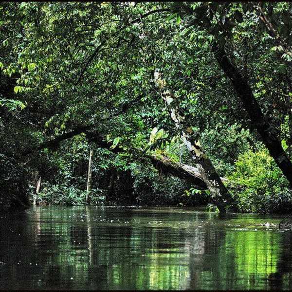 With God In The Wilderness