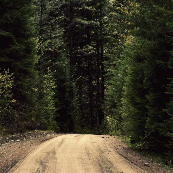 9 Reasons Why I Want to Live Off the Grid