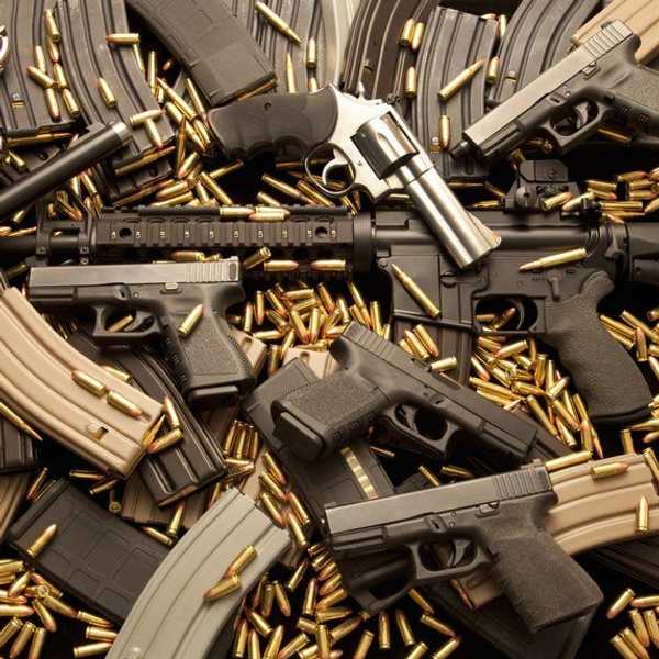 Not So Gung-Ho For Gun Control