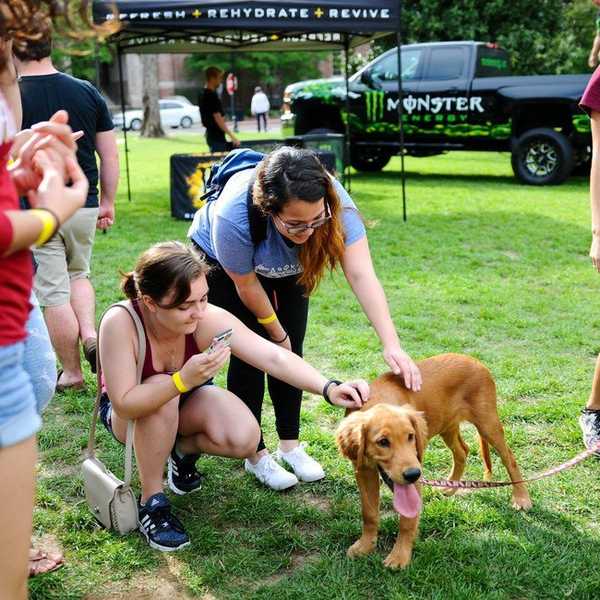 To The Friends I Won't See Over Summer