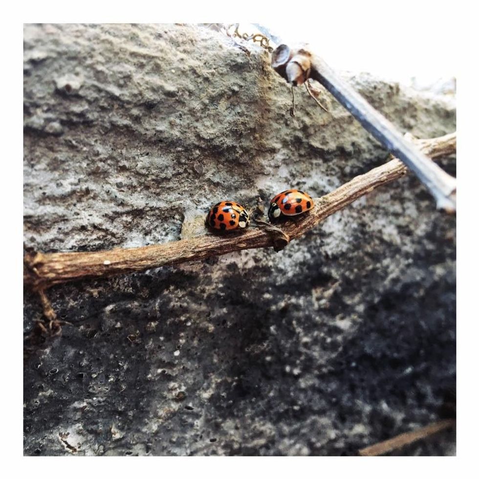 How I Define Love, Now That I Know What It Feels Like