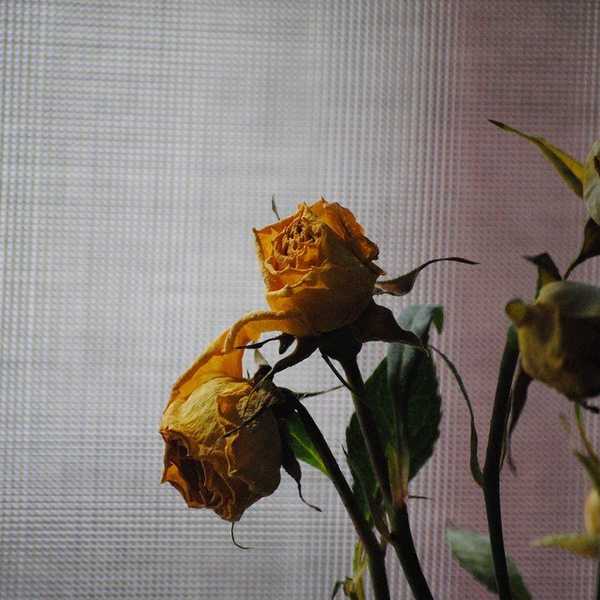 The Scary Thing About Heartbreak