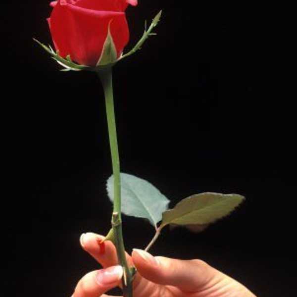 We Have A Choice To Love Or Hurt