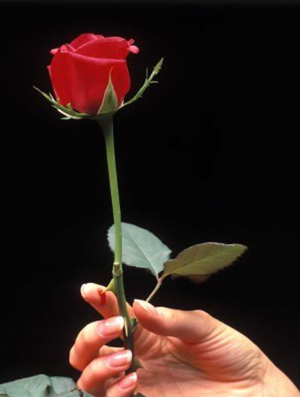 We Have A Choice To Love Or Hurt
