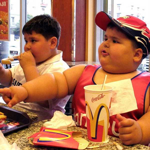 The Bastardization Of Our Diets