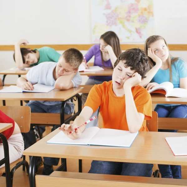 How The American Education System Will Slaughter Your Dreams