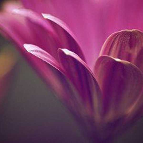 Happy Father's Day To My Two Moms