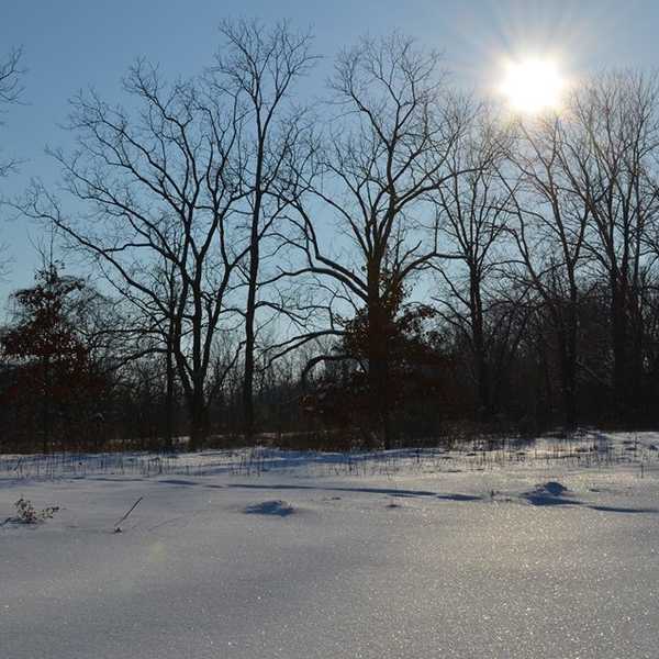 People Are Different, And That Is Okay