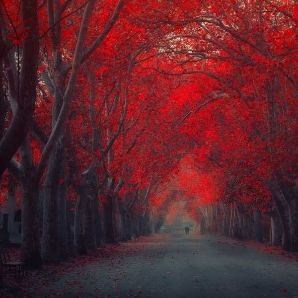 A Note Of Condolence To A Blood-Soaked Planet Earth