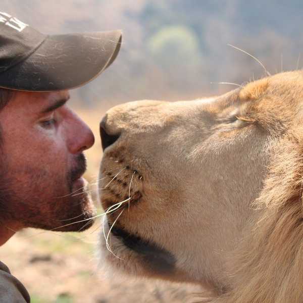Animals, And People, Shouldn't Be Dying