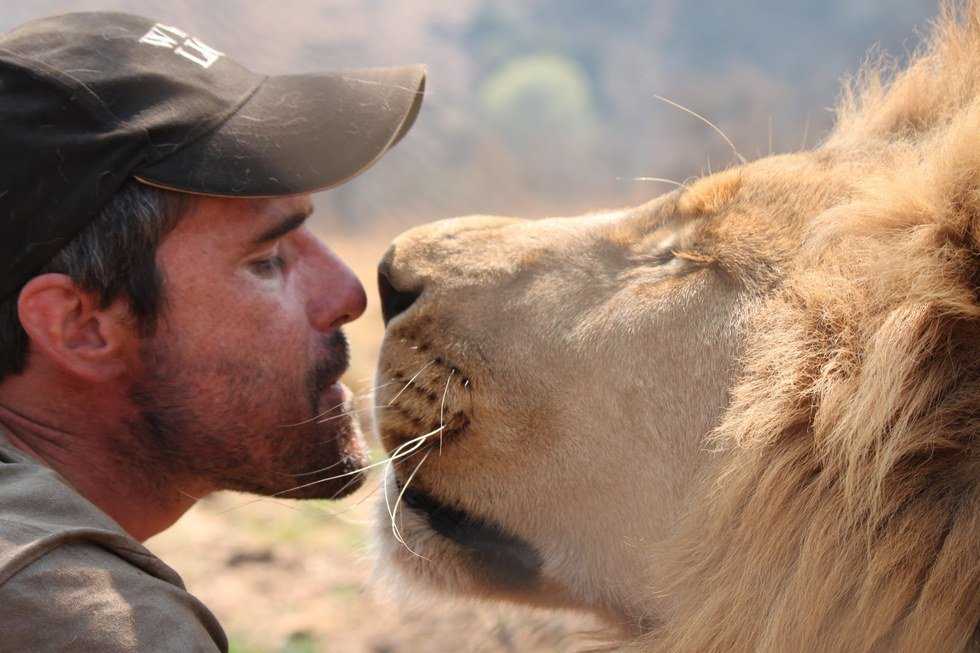 Animals, And People, Shouldn't Be Dying