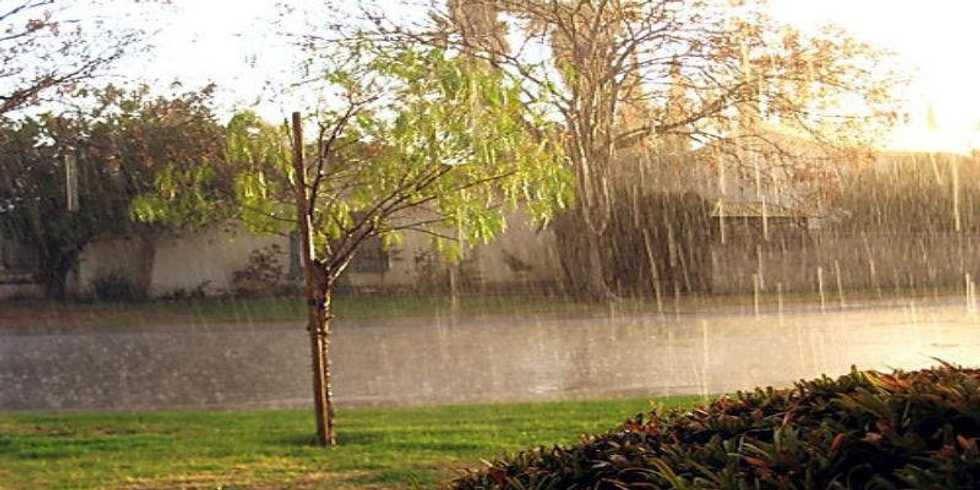 Learn To Embrace The Storm Before You Chase The Sun