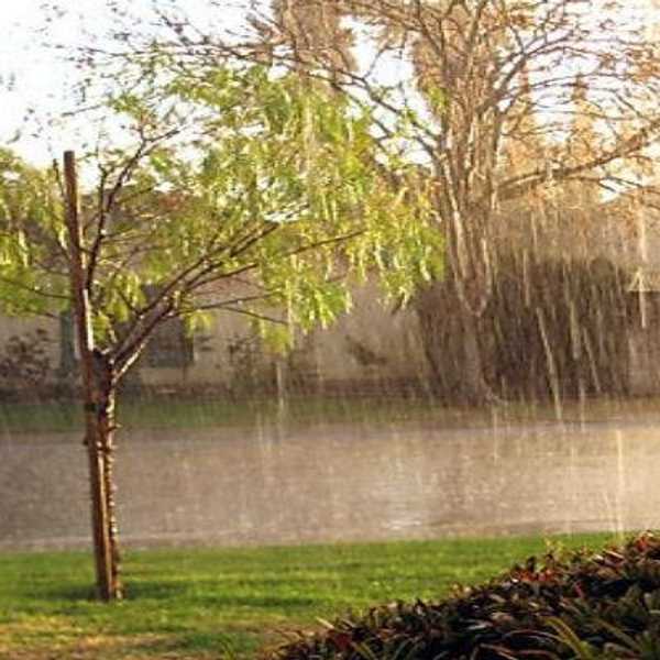 Learn To Embrace The Storm Before You Chase The Sun