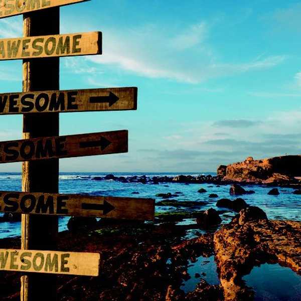 11 Things Showing Off San Diego Has Taught Me