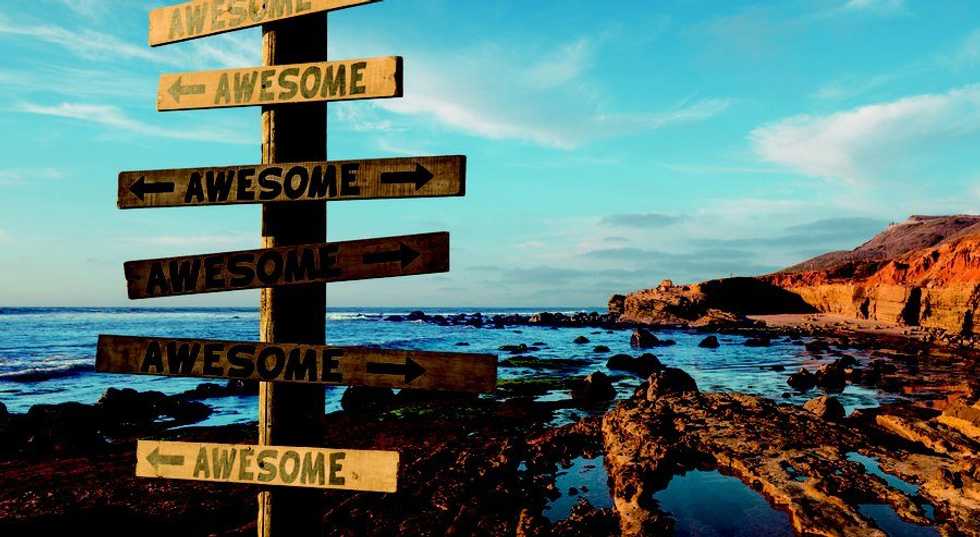 11 Things Showing Off San Diego Has Taught Me